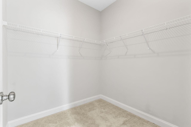 224 Young Town Cir, Orangeburg, SC 29118 - walk in closet featuring carpet floors