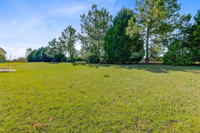 224 Young Town Cir, Orangeburg, SC 29118 - view of yard