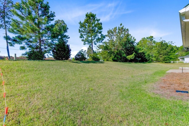 224 Young Town Cir, Orangeburg, SC 29118 - view of yard