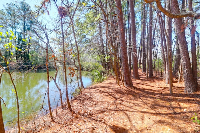 view of water feature with a wooded view