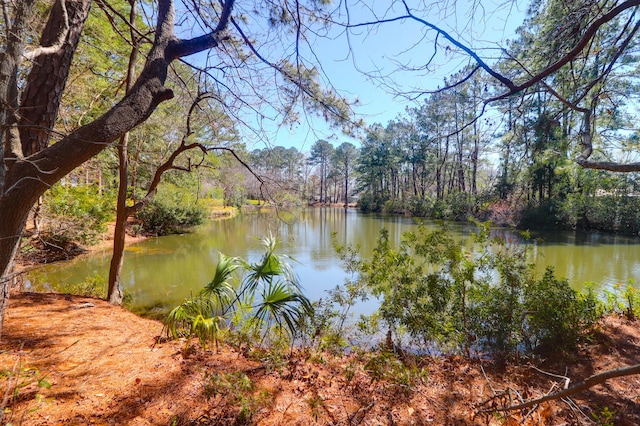 view of water feature featuring a view of trees