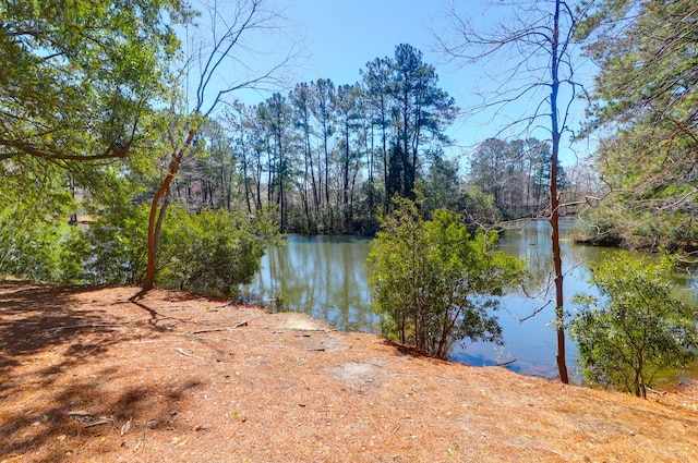 view of water feature with a view of trees