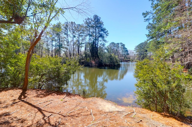 property view of water featuring a forest view