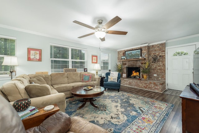 living room with ceiling fan, ornamental molding, dark hardwood / wood-style flooring, and a fireplace