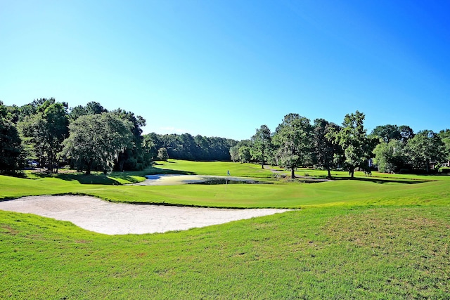 100 Conset Bay Ct, Goose Creek, SC 29445 - view of community featuring a lawn, view of golf course, and view of wooded area