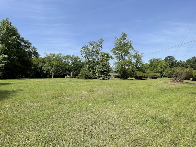 6287 Sniders Hwy, Walterboro, SC 29488 - view of green lawn