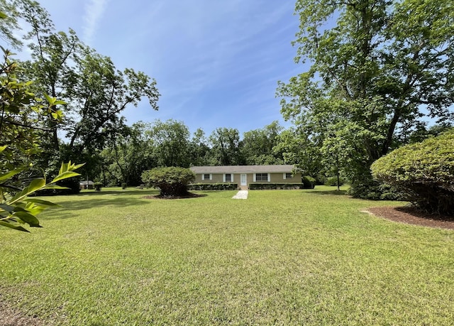 6287 Sniders Hwy, Walterboro, SC 29488 - view of green lawn