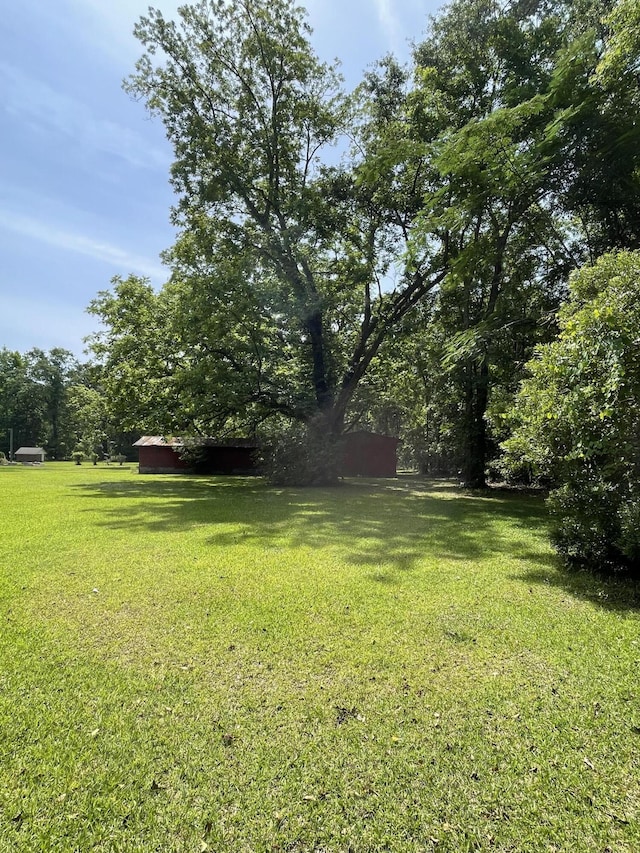 6287 Sniders Hwy, Walterboro, SC 29488 - view of grassy yard