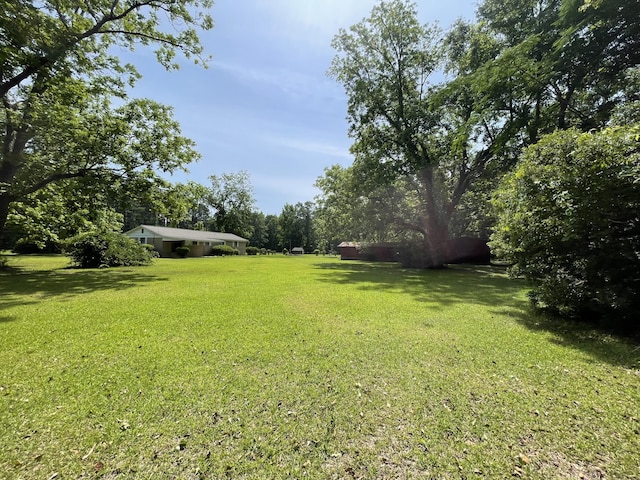 6287 Sniders Hwy, Walterboro, SC 29488 - view of green lawn
