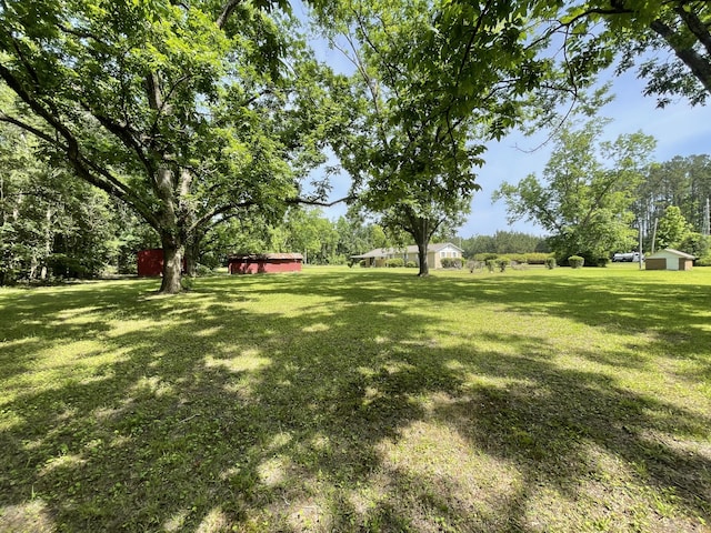 6287 Sniders Hwy, Walterboro, SC 29488 - view of green lawn with an outdoor structure and a storage unit