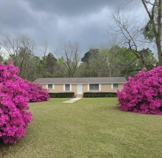 6287 Sniders Hwy, Walterboro, SC 29488 - view of front of property with a front lawn