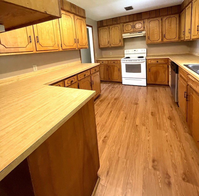 6287 Sniders Hwy, Walterboro, SC 29488 - kitchen featuring white range with electric cooktop, under cabinet range hood, light countertops, and dishwasher