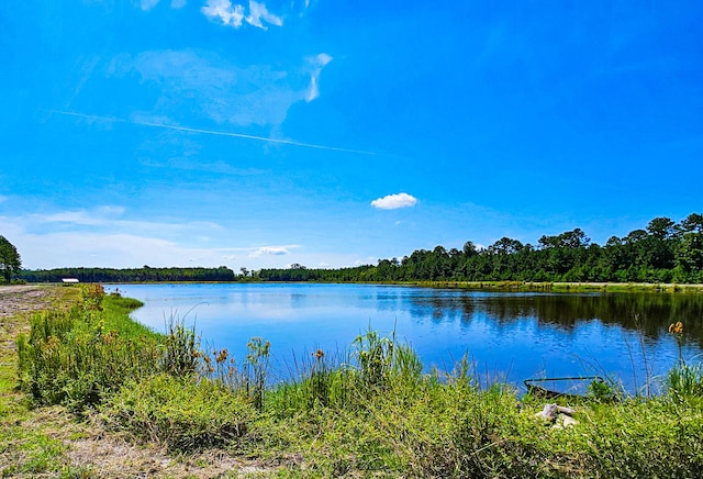 565 Hidden Lk, Retreat, Walterboro, SC 29488