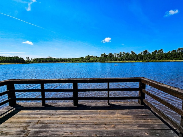 565 Hidden Lk, Retreat, Walterboro, SC 29488
