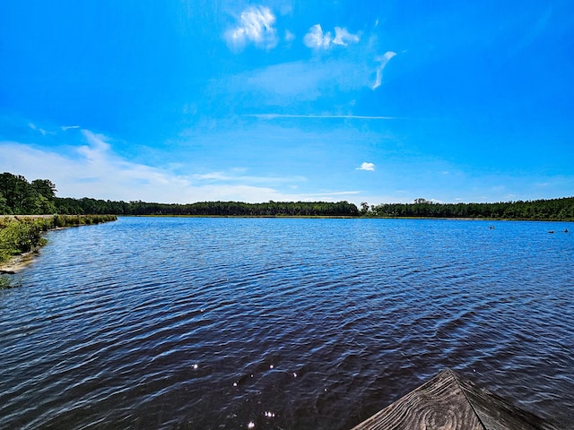 565 Hidden Lk, Retreat, Walterboro, SC 29488