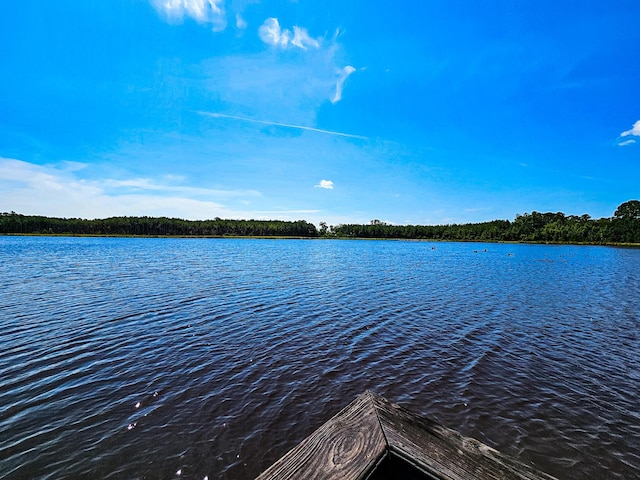 565 Hidden Lk, Retreat, Walterboro, SC 29488