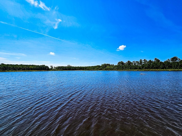 565 Hidden Lk, Retreat, Walterboro, SC 29488