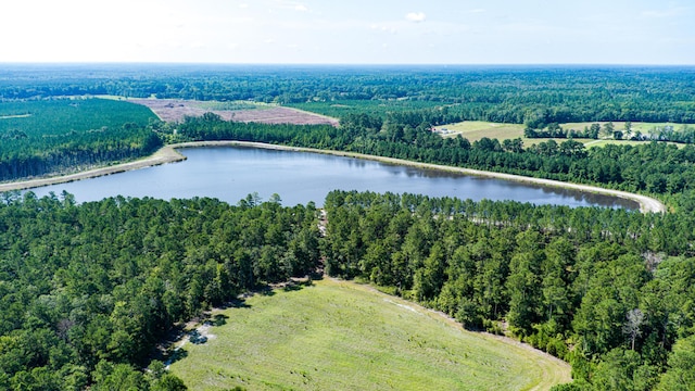 565 Hidden Lk, Retreat, Walterboro, SC 29488