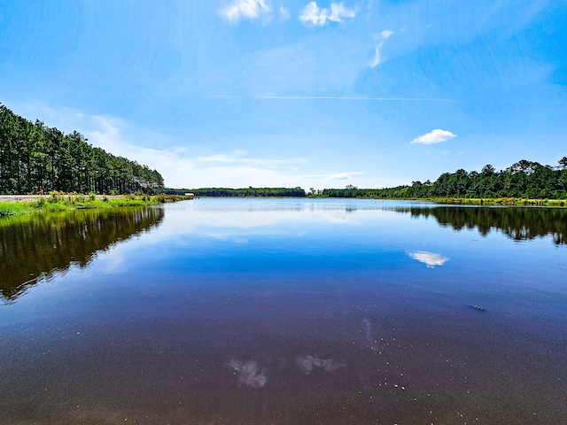 565 Hidden Lk, Retreat, Walterboro, SC 29488