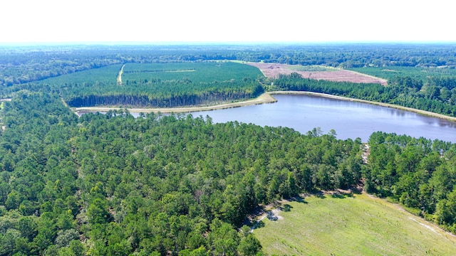 565 Hidden Lk, Retreat, Walterboro, SC 29488