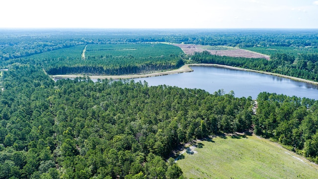 565 Hidden Lk, Retreat, Walterboro, SC 29488