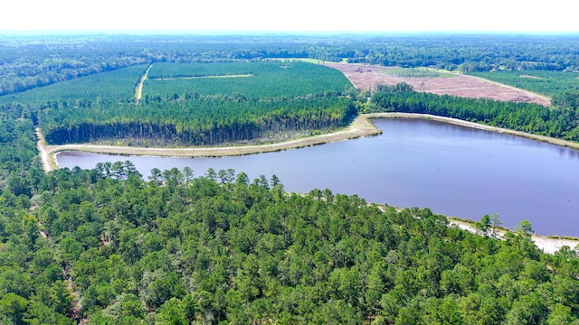 565 Hidden Lk, Retreat, Walterboro, SC 29488