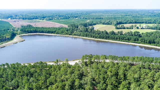 565 Hidden Lk, Retreat, Walterboro, SC 29488