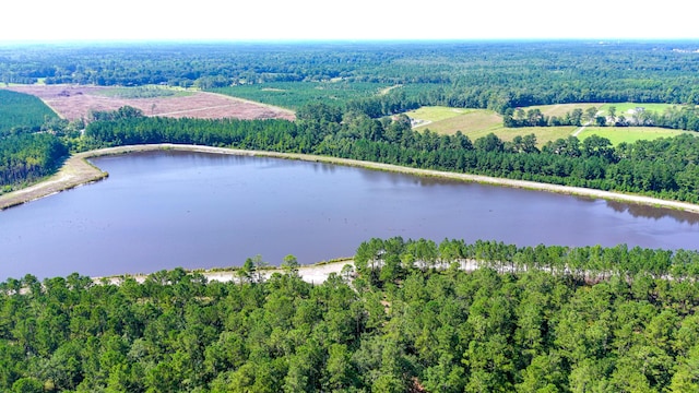 565 Hidden Lk, Retreat, Walterboro, SC 29488
