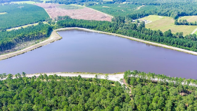 565 Hidden Lk, Retreat, Walterboro, SC 29488