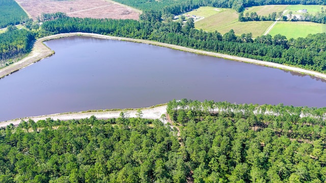 565 Hidden Lk, Retreat, Walterboro, SC 29488