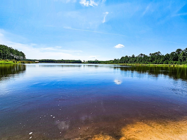 565 Hidden Lk, Retreat, Walterboro, SC 29488