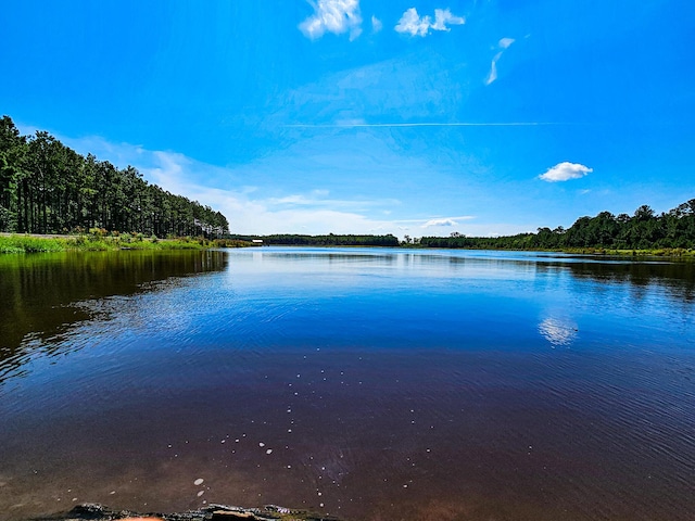 565 Hidden Lk, Retreat, Walterboro, SC 29488