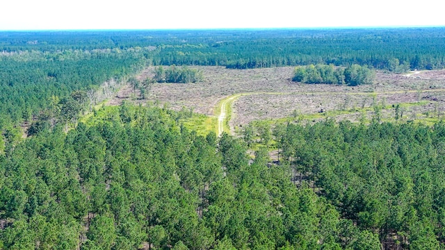 565 Hidden Lk, Retreat, Walterboro, SC 29488