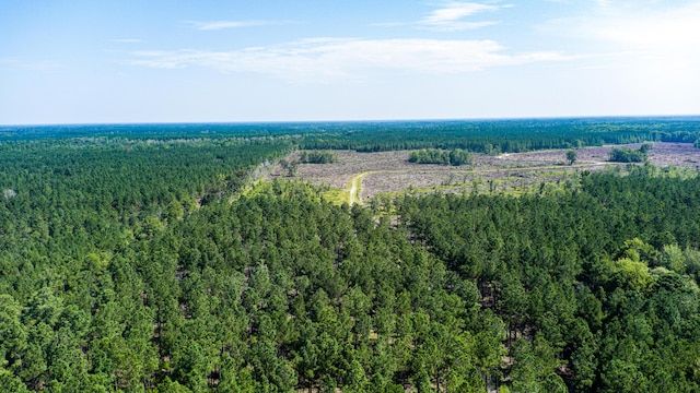 565 Hidden Lk, Retreat, Walterboro, SC 29488