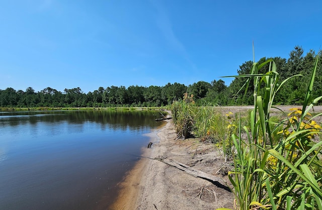 565 Hidden Lk, Retreat, Walterboro, SC 29488