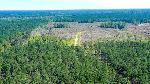 565 Hidden Lk, Retreat, Walterboro, SC 29488