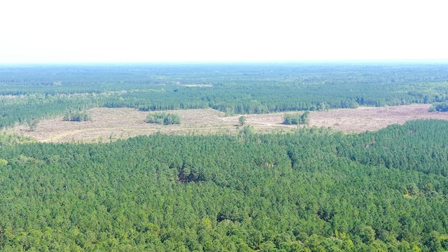 565 Hidden Lk, Retreat, Walterboro, SC 29488