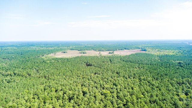 565 Hidden Lk, Retreat, Walterboro, SC 29488