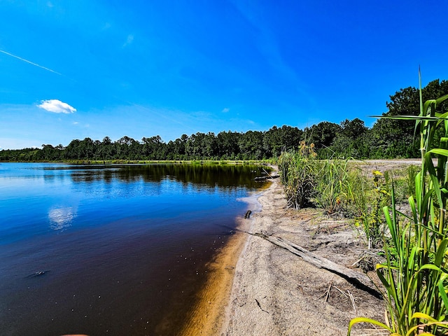 565 Hidden Lk, Retreat, Walterboro, SC 29488