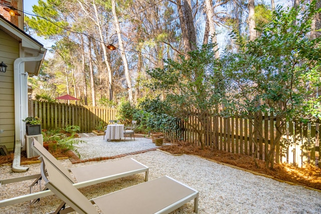 view of yard featuring a patio