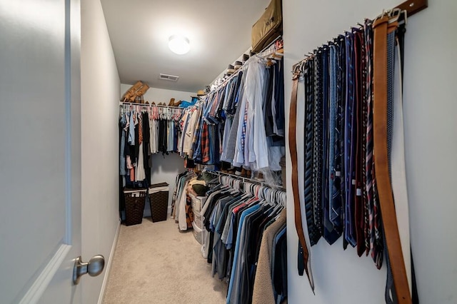 2024 Lanneau Ln, Johns Island, SC 29455 - walk in closet with carpet flooring