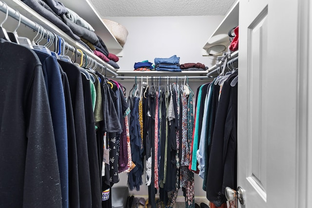 view of walk in closet