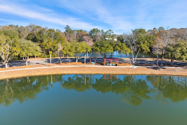 view of water feature