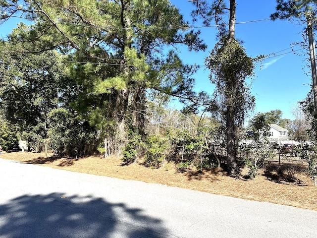 1096 Bee Hive Rd, Awendaw, SC 29429