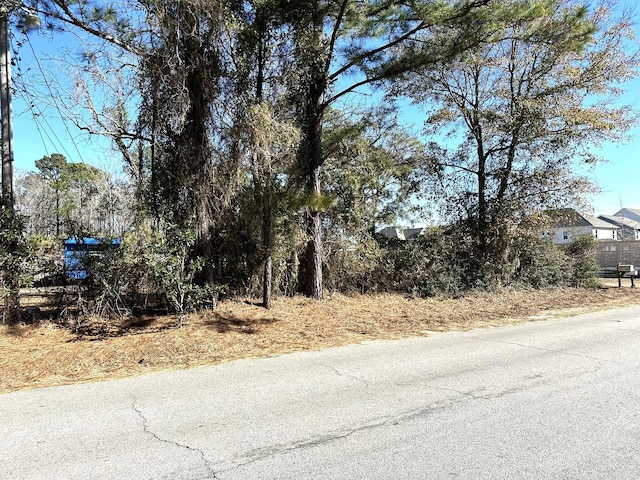 1096 Bee Hive Rd, Awendaw, SC 29429