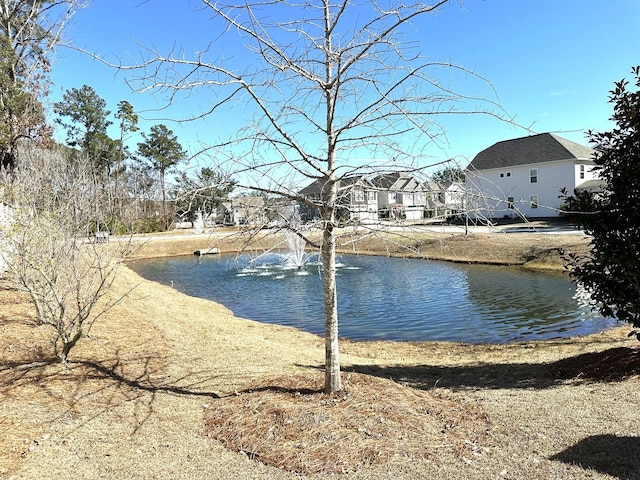 1096 Bee Hive Rd, Awendaw, SC 29429