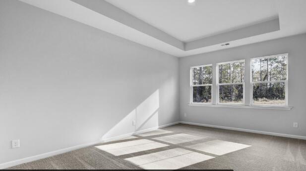 unfurnished room featuring a raised ceiling and light carpet