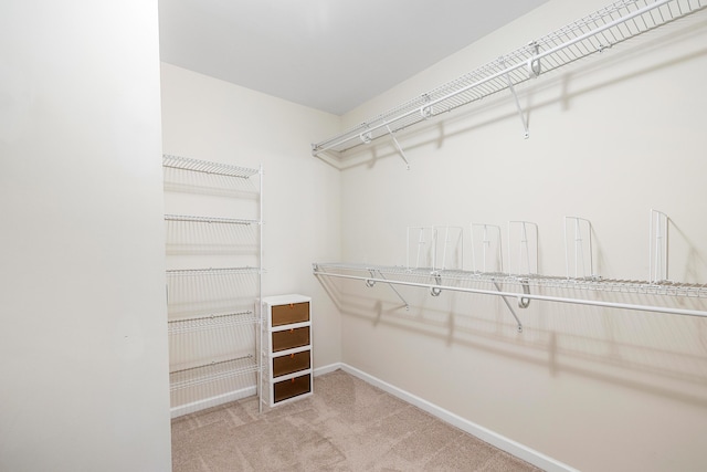walk in closet featuring carpet floors