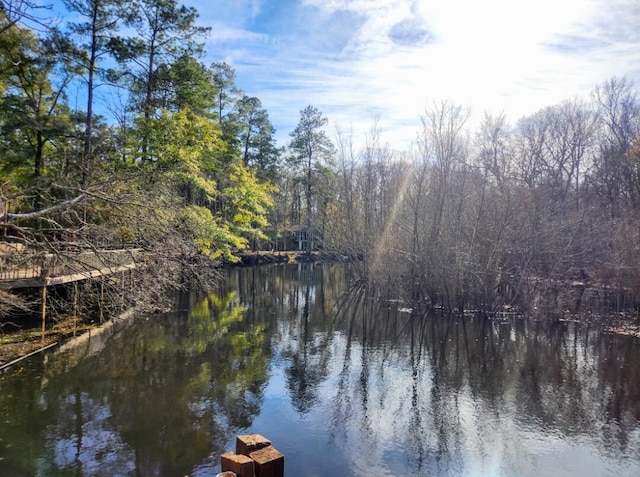 view of water feature