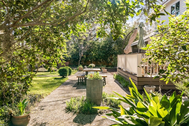 view of yard featuring a patio, outdoor dining area, and a deck